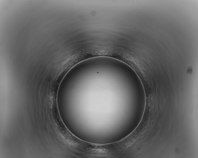 X0000090760741200707271505