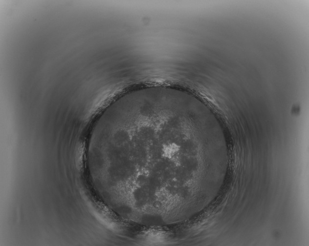 X0000090760742200707271506