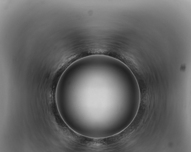 X0000090760743200707271506