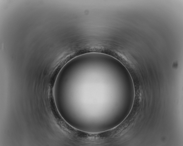 X0000090760744200707271506