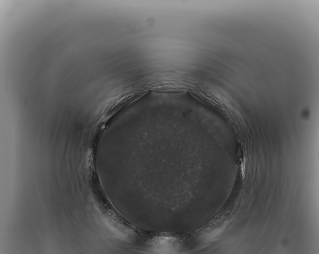 X0000090760748200707271506