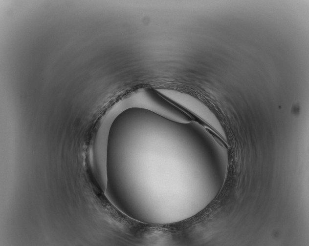 X0000090760750200707271506