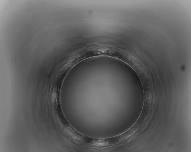 X0000090760754200707271506