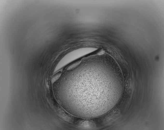 X0000090760755200707271506