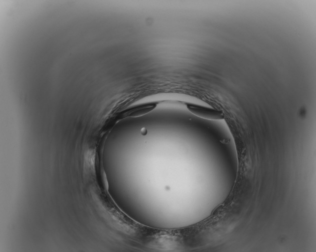 X0000090760756200707271506