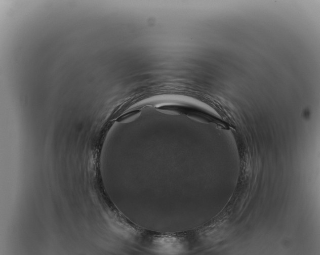 X0000090760759200707271506