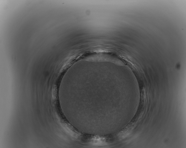 X0000090760760200707271506