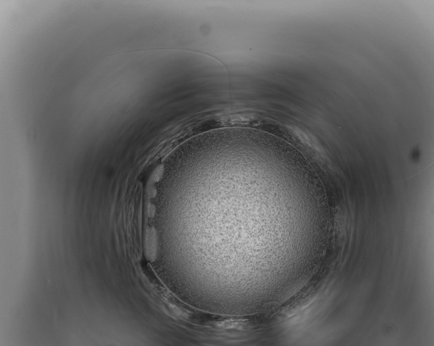 X0000090760761200707271506