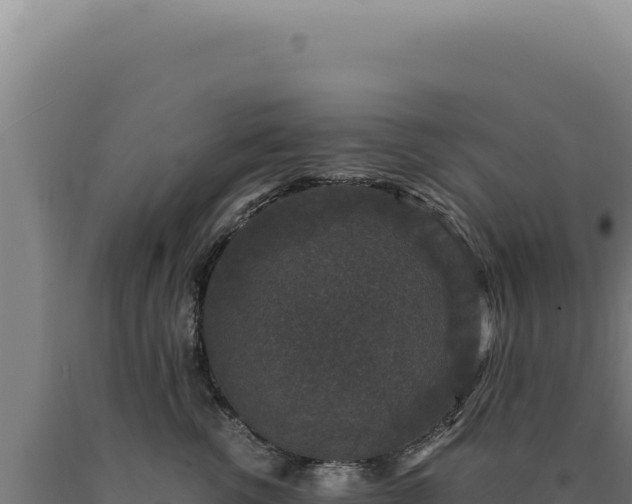 X0000090760762200707271506