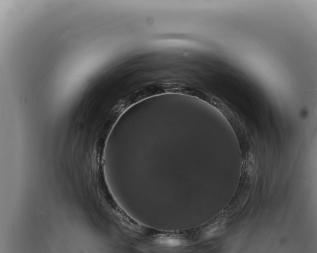 X0000090760763200707271506