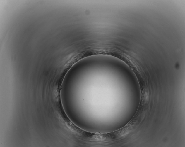 X0000090760764200707271506