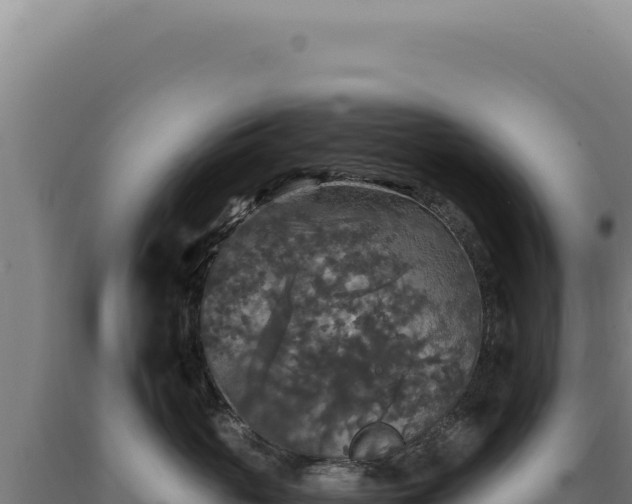 X0000090760765200707271506