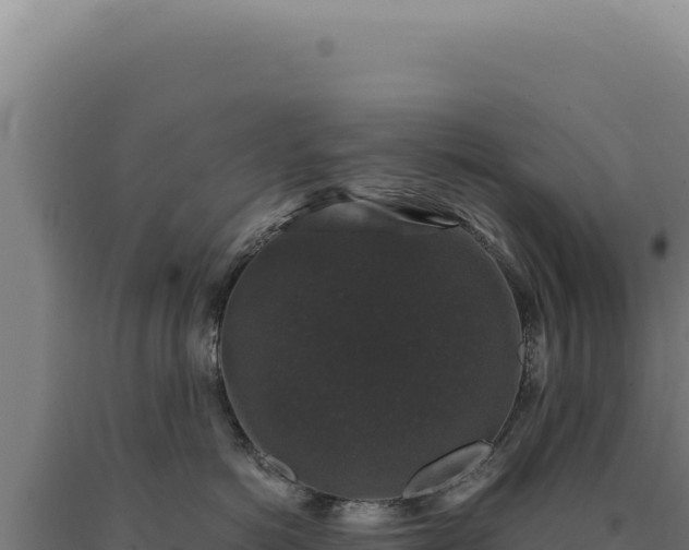 X0000090760766200707271506