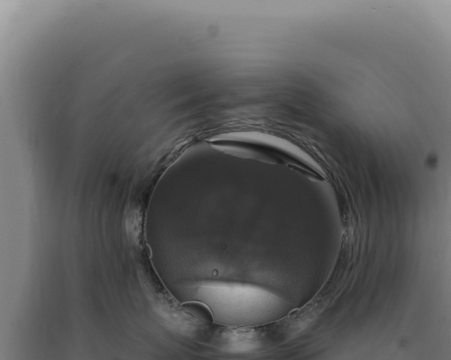 X0000090760767200707271506