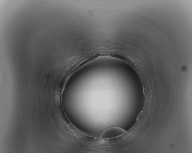 X0000090760768200707271506