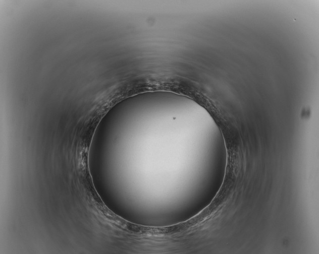 X0000090760770200707271505