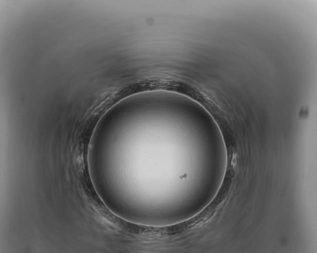 X0000090760771200707271505