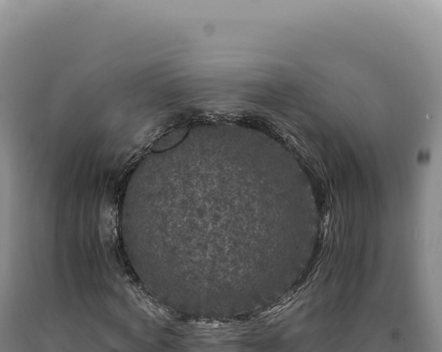 X0000090760772200707271505