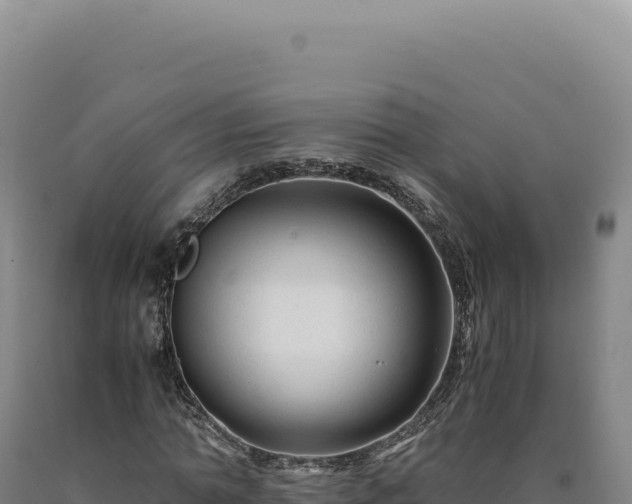 X0000090760774200707271505