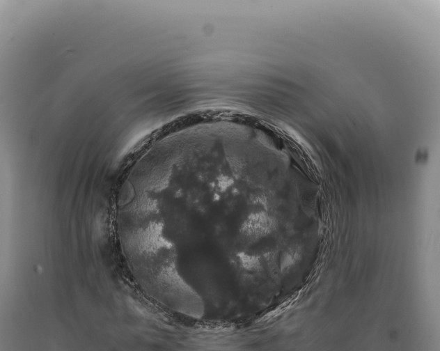 X0000090760775200707271505