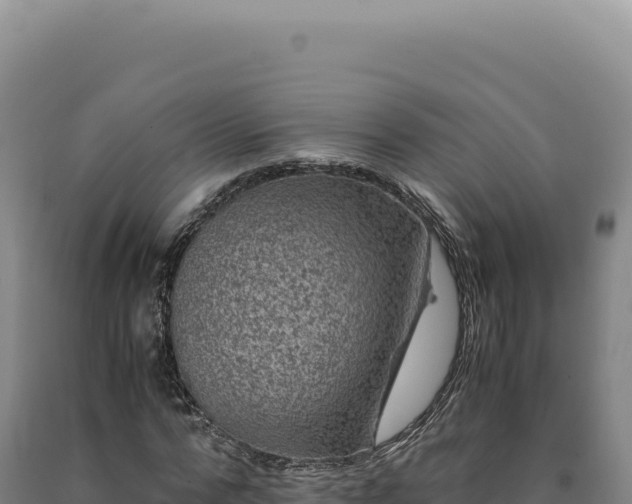 X0000090760776200707271505