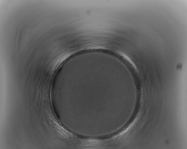 X0000090760777200707271505