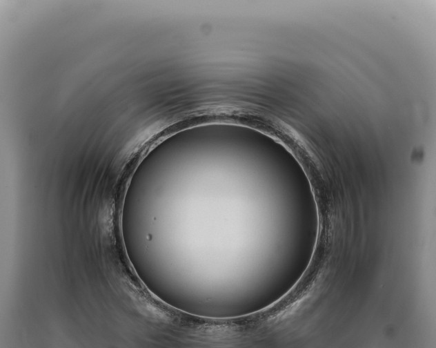 X0000090760778200707271505