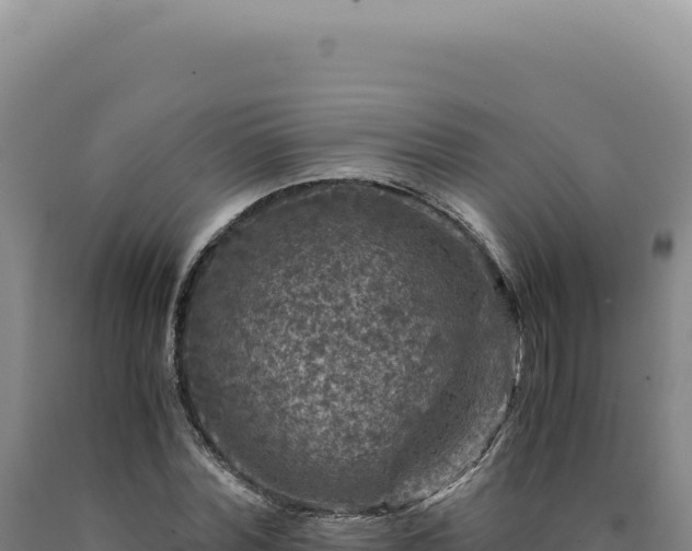 X0000090760780200707271505