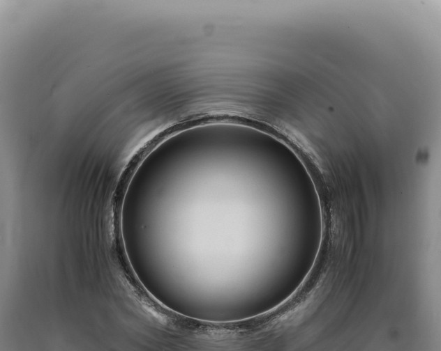 X0000090760782200707271505