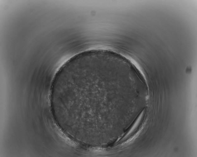 X0000090760783200707271505