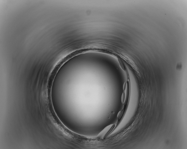 X0000090760784200707271505