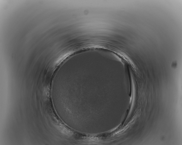 X0000090760785200707271505