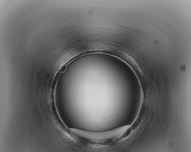 X0000090760786200707271505