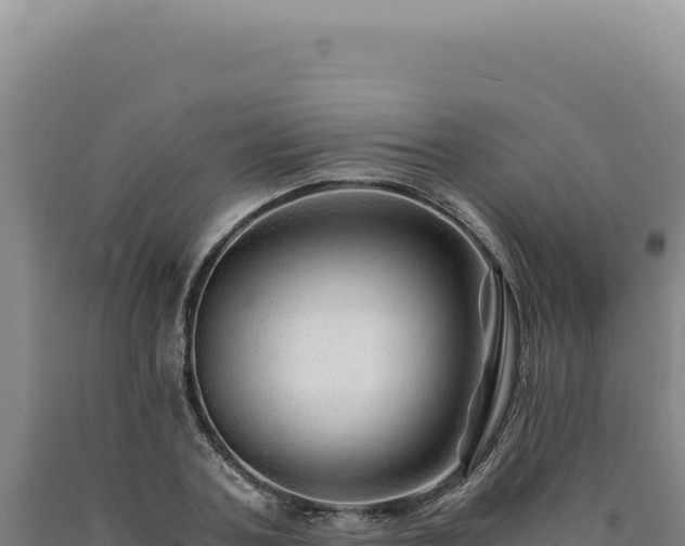 X0000090760787200707271505