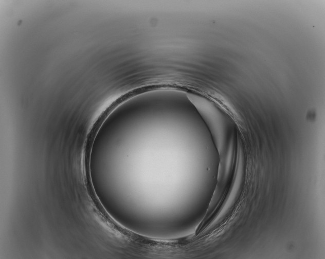 X0000090760788200707271505