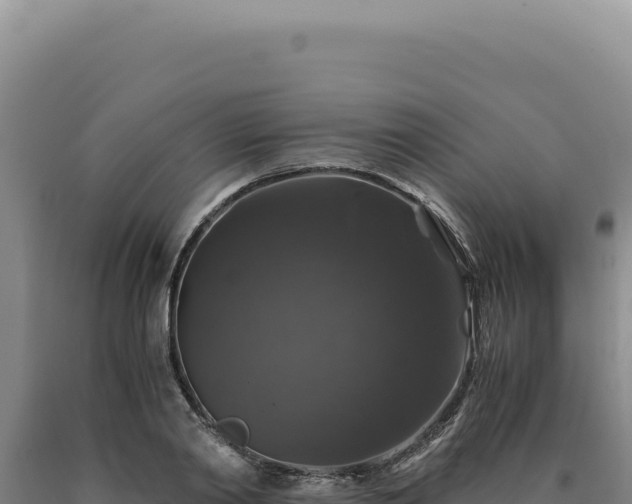 X0000090760790200707271505