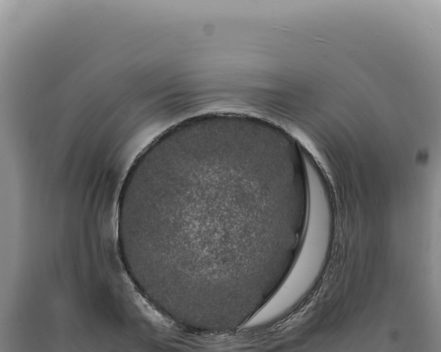 X0000090760791200707271505