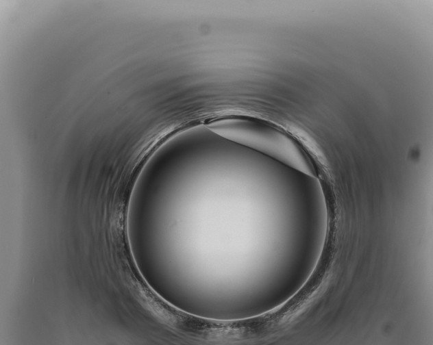 X0000090760793200707271505