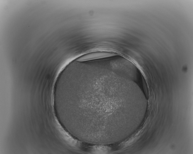 X0000090760795200707271505