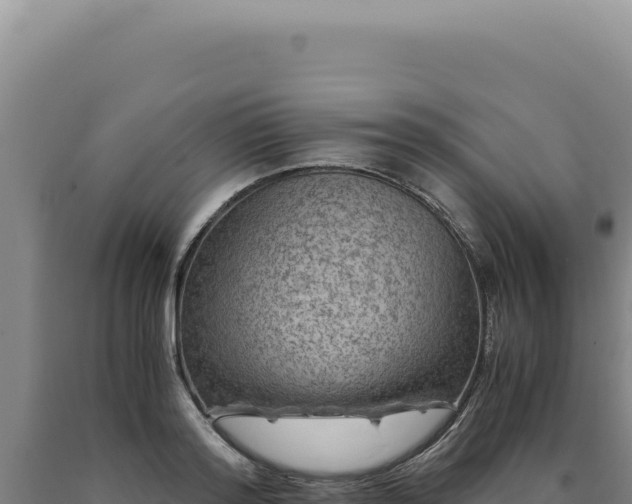 X0000090760796200707271505