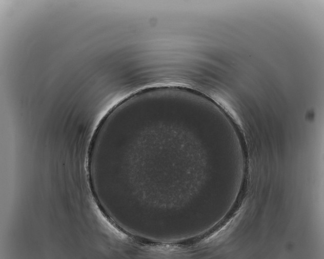 X0000090760797200707271505