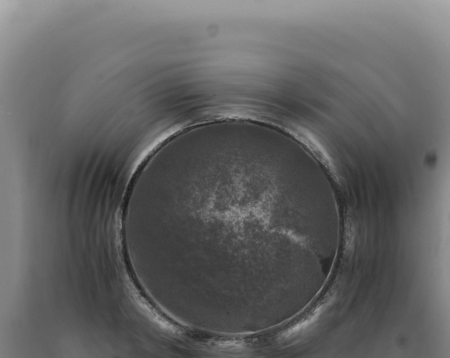 X0000090760798200707271505