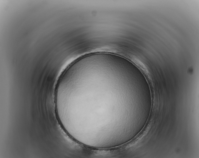 X0000090760800200707271505