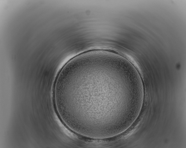 X0000090760803200707271505