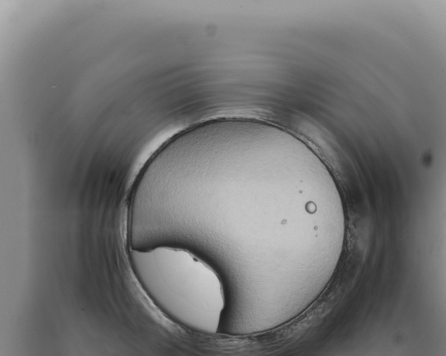 X0000090760804200707271505