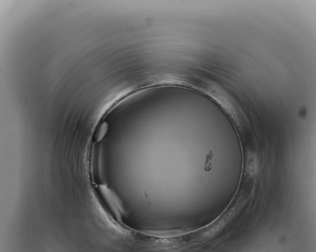 X0000090760806200707271505