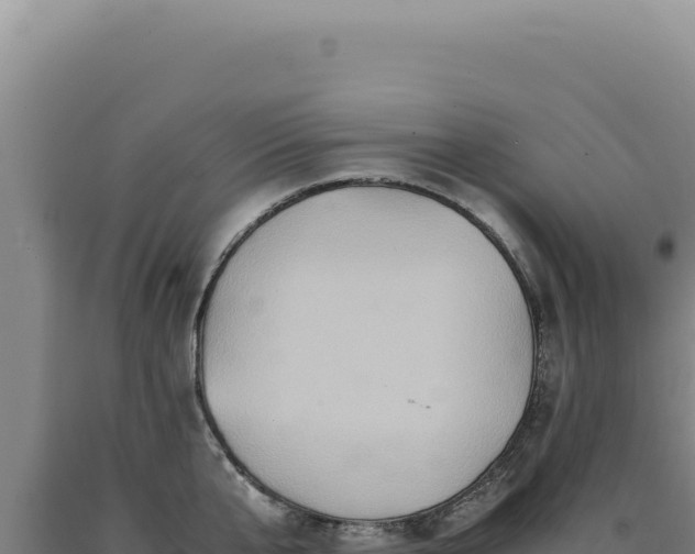 X0000090760807200707271505