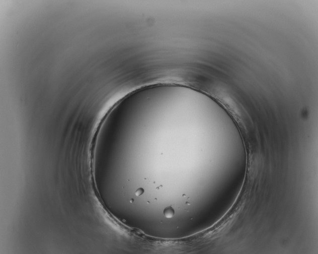 X0000090760808200707271505