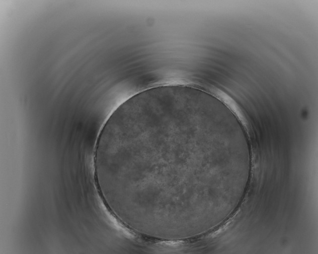 X0000090760810200707271505