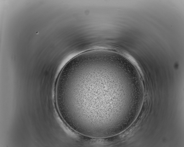 X0000090760811200707271505